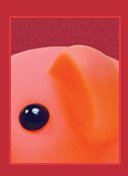 pig